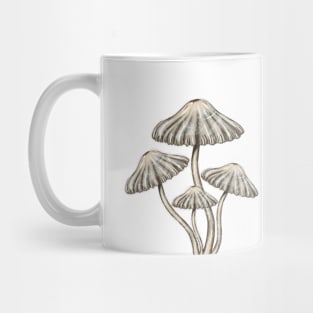 Mushroom Master Toadstools Mug